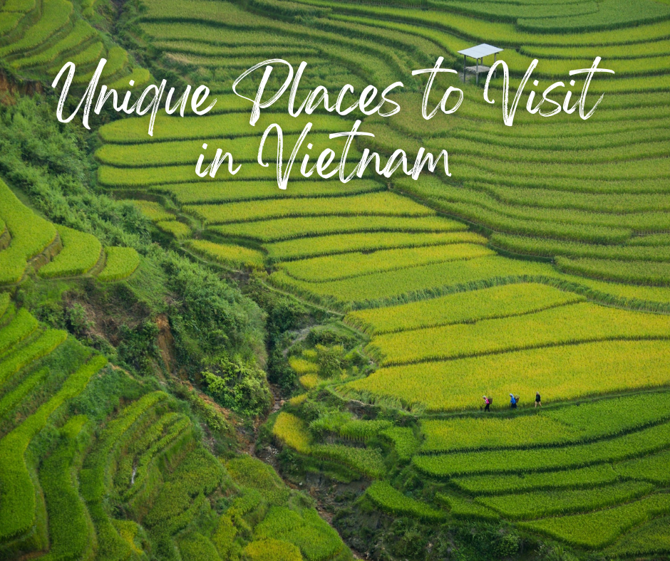 Unique Places to Visit in Vietnam