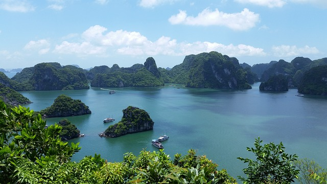 vietnam, halong bay, nature