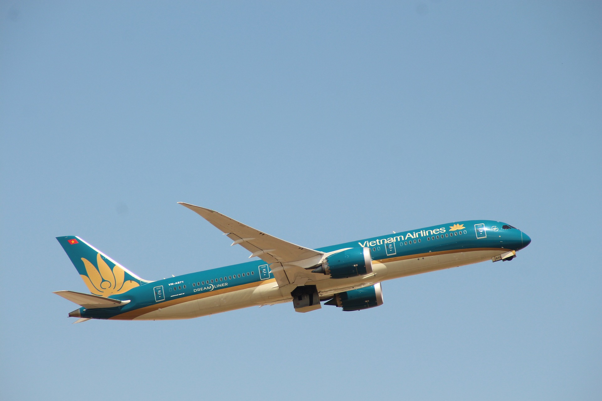 Vietnam Airlines Flight