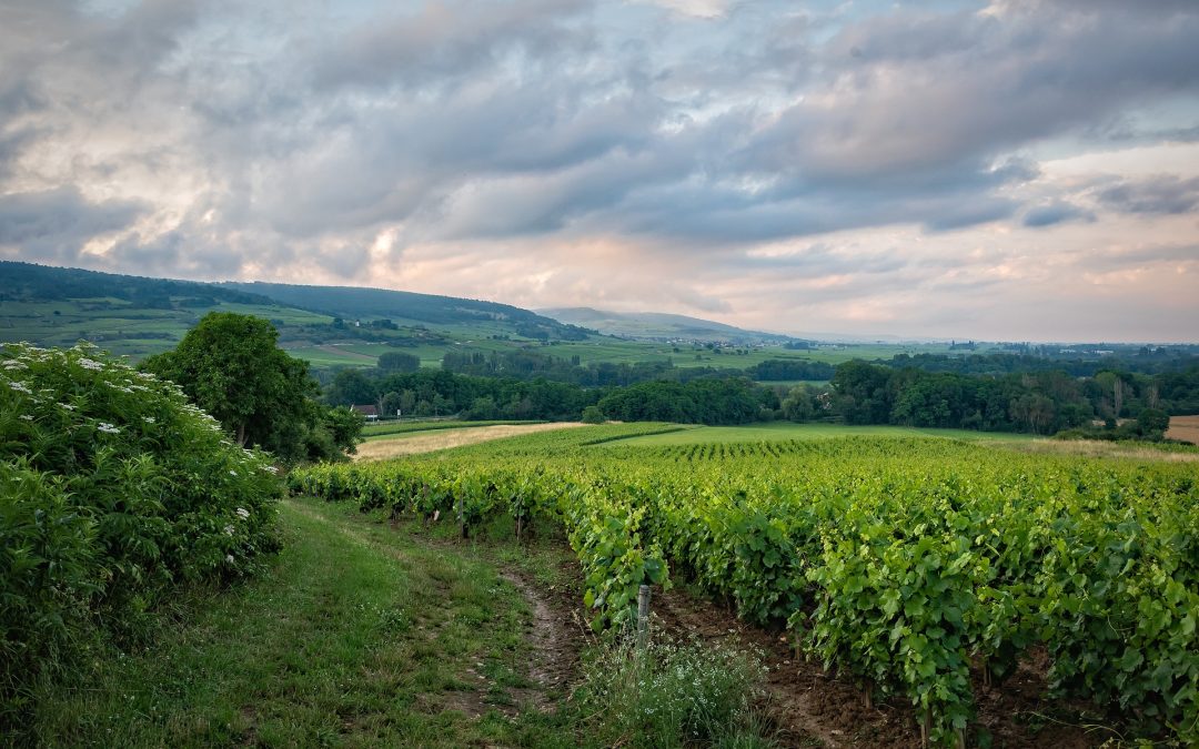 Guide to Backpacking in France